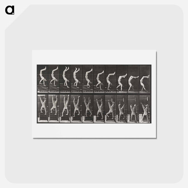 アートポストカード-Acrobat Descending Stairs
 - エドワード マイブリッジ Postcard.