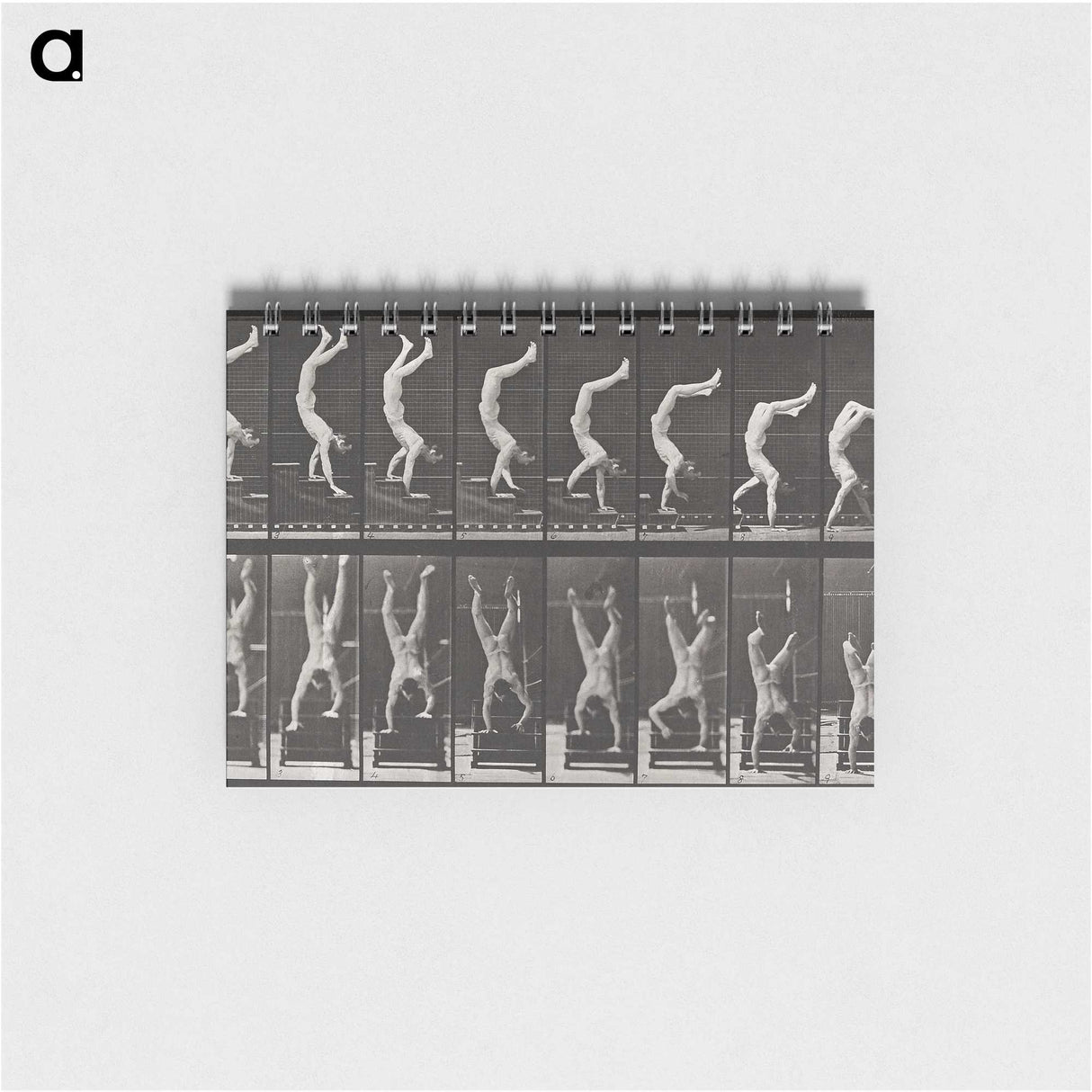 1-49_Eadweard-Muybridge_memo