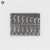 1-49_Eadweard-Muybridge_memo