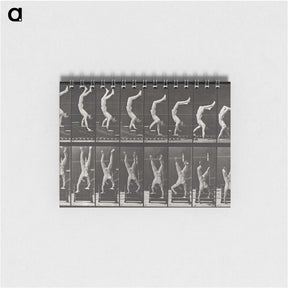 1-49_Eadweard-Muybridge_memo