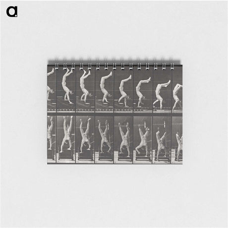 1-49_Eadweard-Muybridge_memo