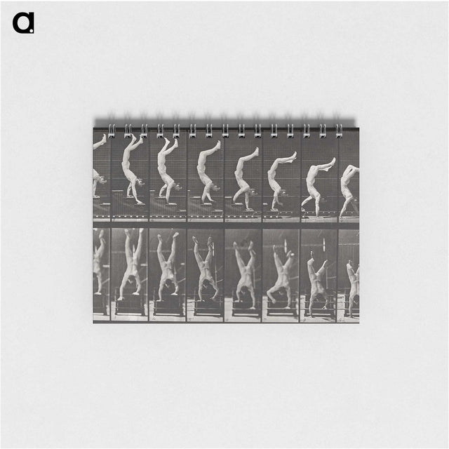 1-49_Eadweard-Muybridge_memo