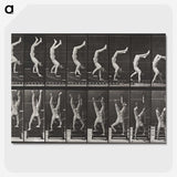 1-49_Eadweard-Muybridge_picture-crop