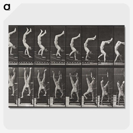 1-49_Eadweard-Muybridge_picture-crop