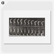 1-49_Eadweard-Muybridge_picture
