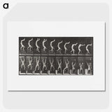 1-49_Eadweard-Muybridge_picture