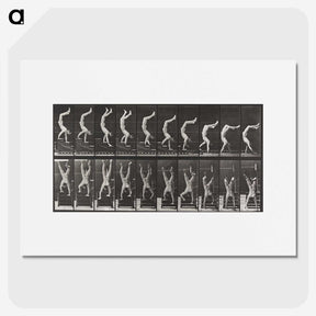1-49_Eadweard-Muybridge_picture