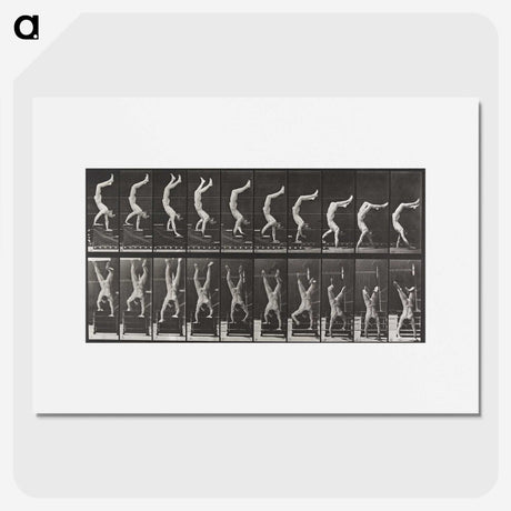1-49_Eadweard-Muybridge_picture