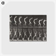 1-49_Eadweard-Muybridge_postcard