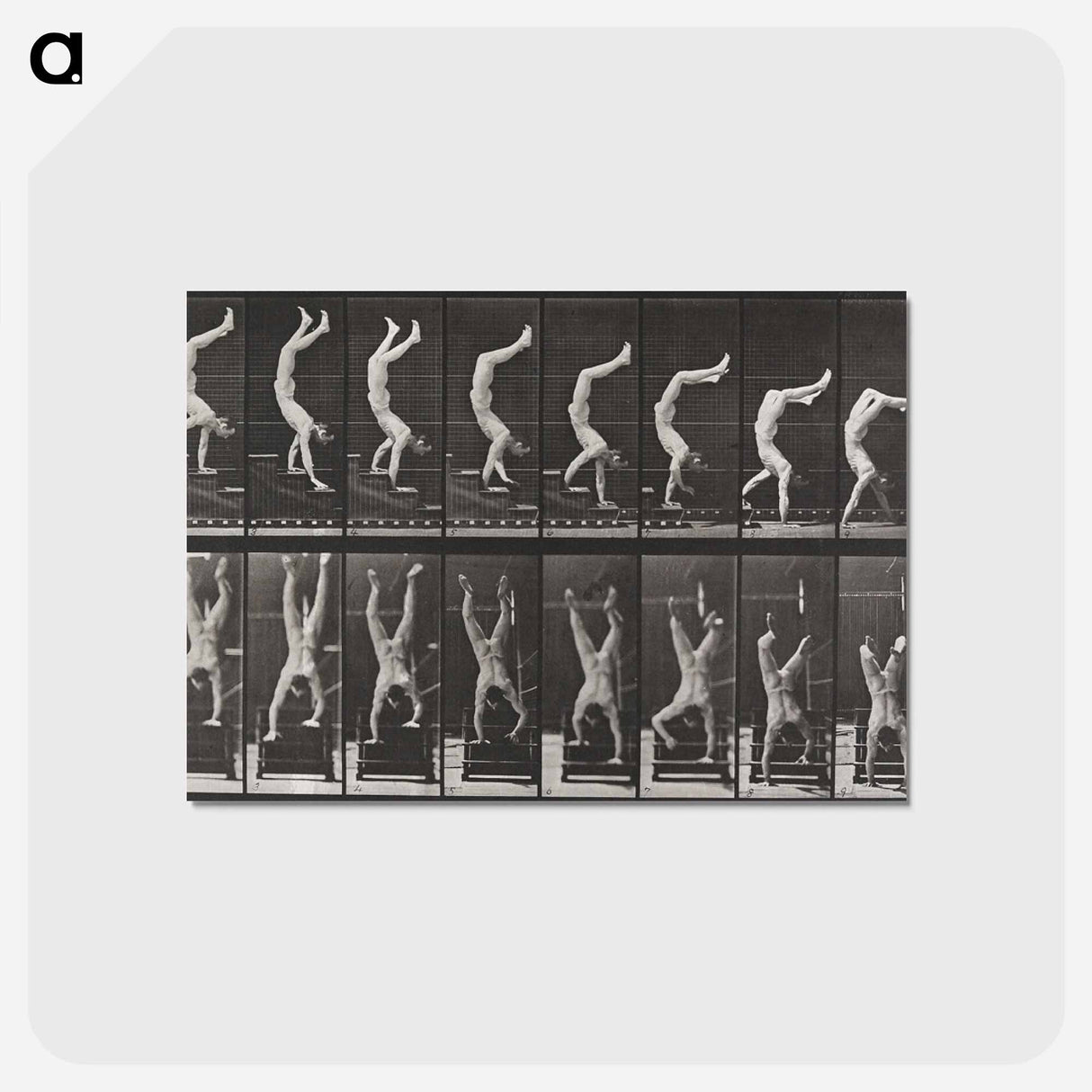 アートポストカード-Acrobat Descending Stairs
 - エドワード マイブリッジ Postcard.
