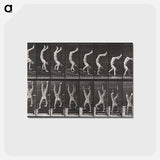 アートポストカード-Acrobat Descending Stairs
 - エドワード マイブリッジ Postcard.