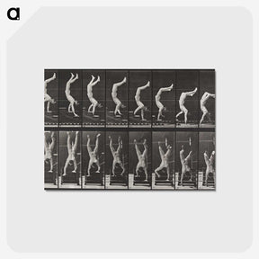 1-49_Eadweard-Muybridge_postcard