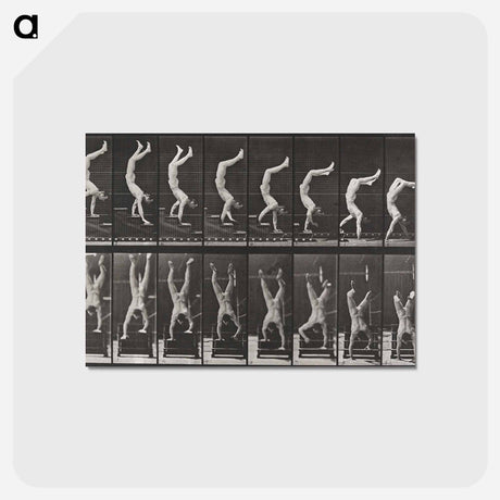 アートポストカード-Acrobat Descending Stairs
 - エドワード マイブリッジ Postcard.