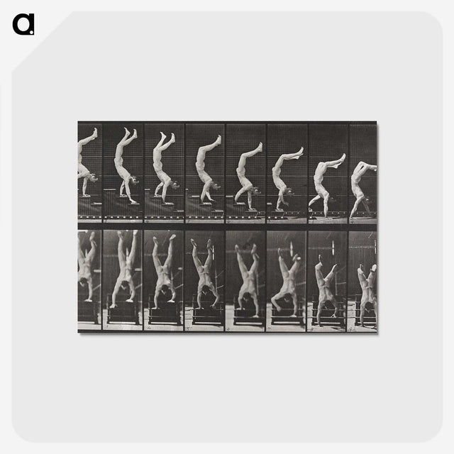 1-49_Eadweard-Muybridge_postcard