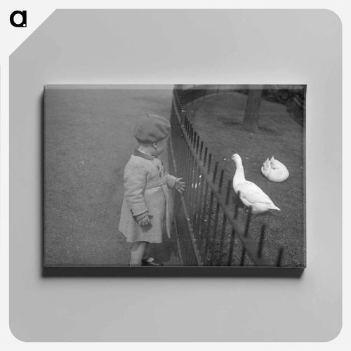 England - エリック リー ジョンソン Canvas.