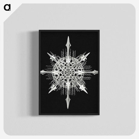 1-49_Ernst-Haeckel_blk-crop
