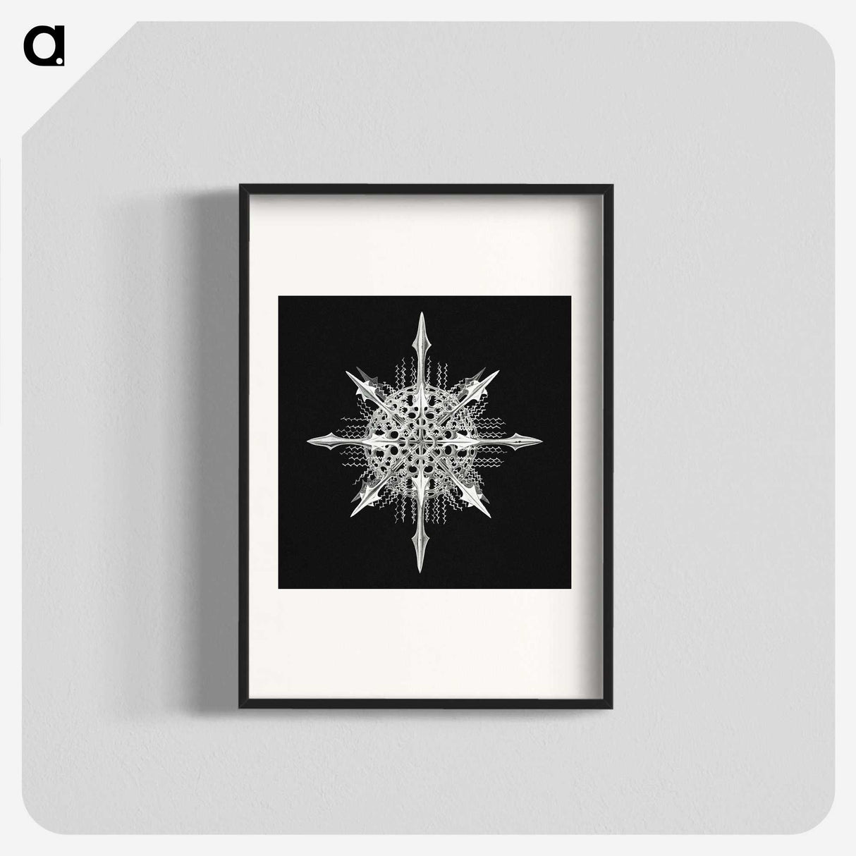1-49_Ernst-Haeckel_blk