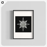 1-49_Ernst-Haeckel_blk