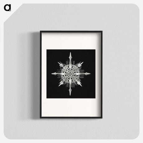 1-49_Ernst-Haeckel_blk
