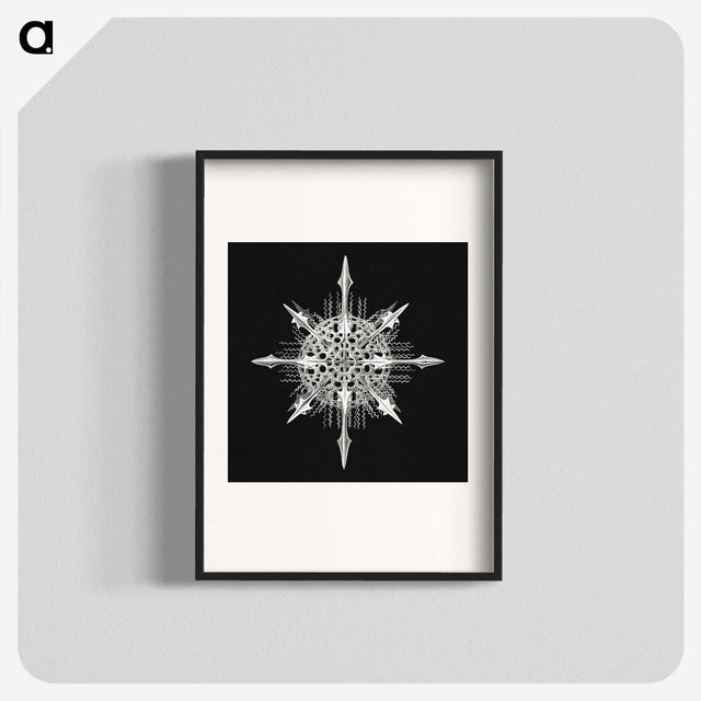 1-49_Ernst-Haeckel_blk