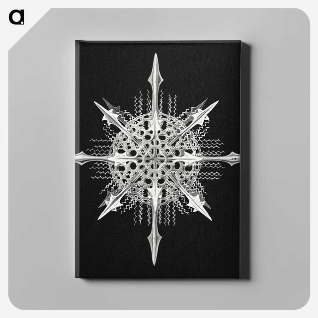 1-49_Ernst-Haeckel_canvas