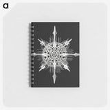 1-49_Ernst-Haeckel_memo