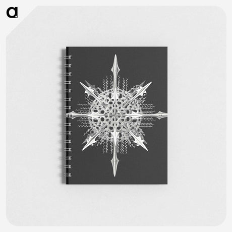 1-49_Ernst-Haeckel_memo