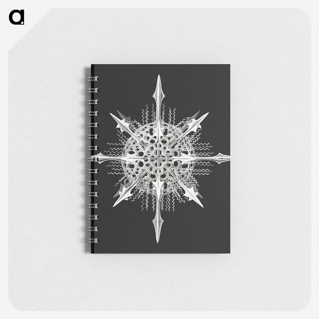 1-49_Ernst-Haeckel_memo