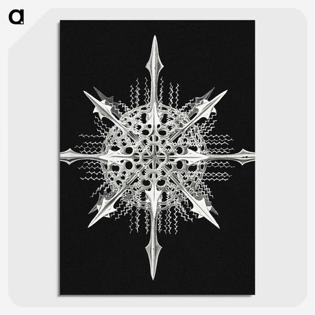 1-49_Ernst-Haeckel_picture-crop