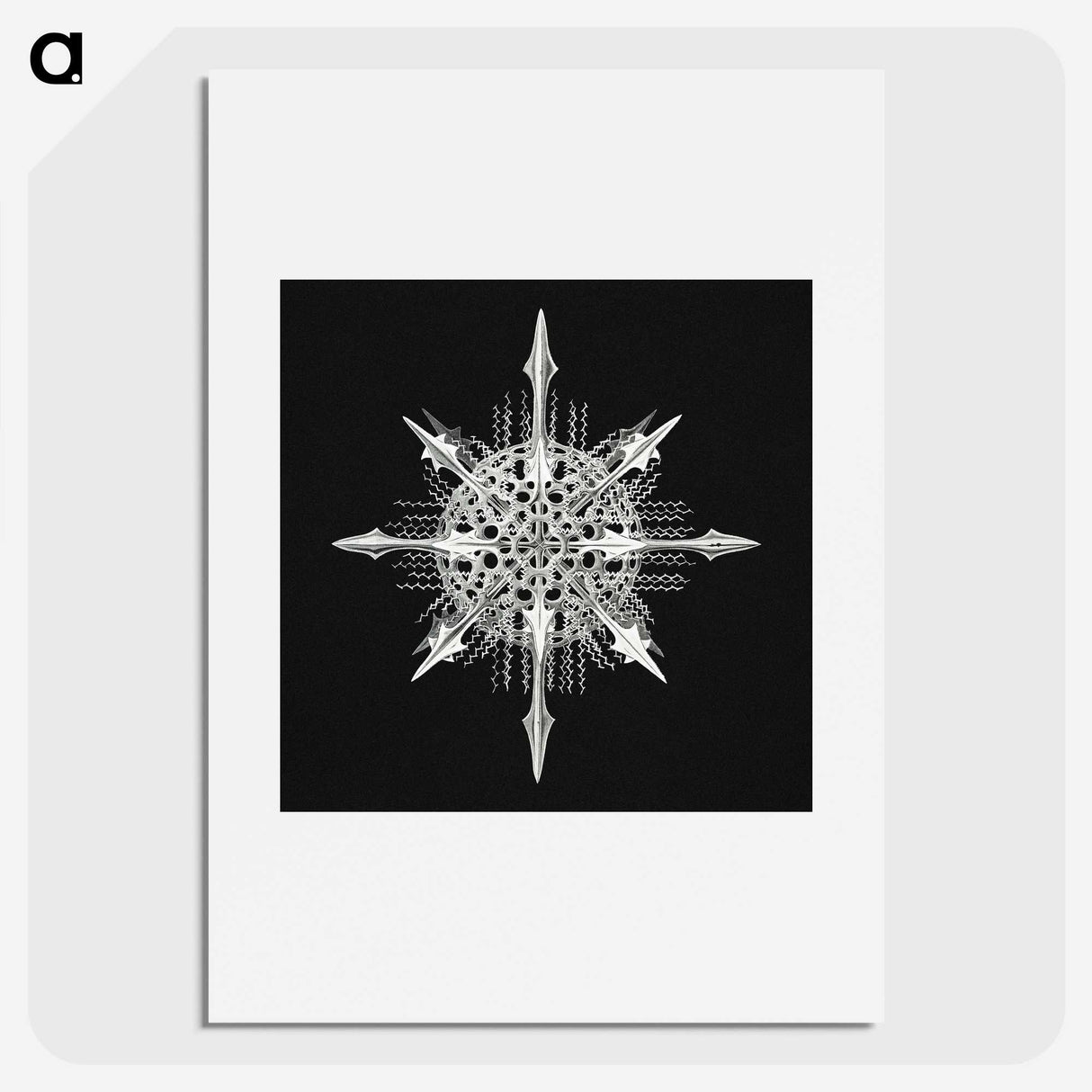 1-49_Ernst-Haeckel_picture