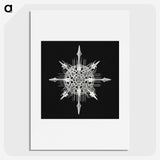 1-49_Ernst-Haeckel_picture