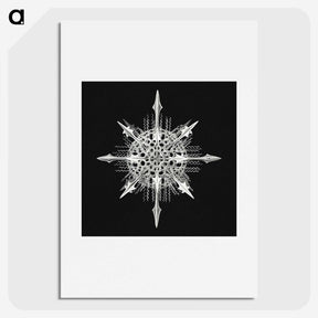1-49_Ernst-Haeckel_picture