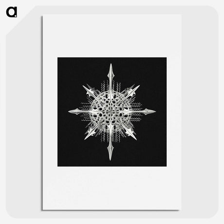 1-49_Ernst-Haeckel_picture