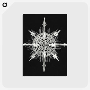 1-49_Ernst-Haeckel_postcard