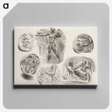 1-49_Eugene-Delacroix_canvas