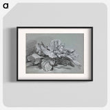 Study of a Cabbage - フランソワ ブーシェ Poster.