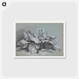 アートポストカード-Study of a Cabbage - フランソワ ブーシェ Postcard.