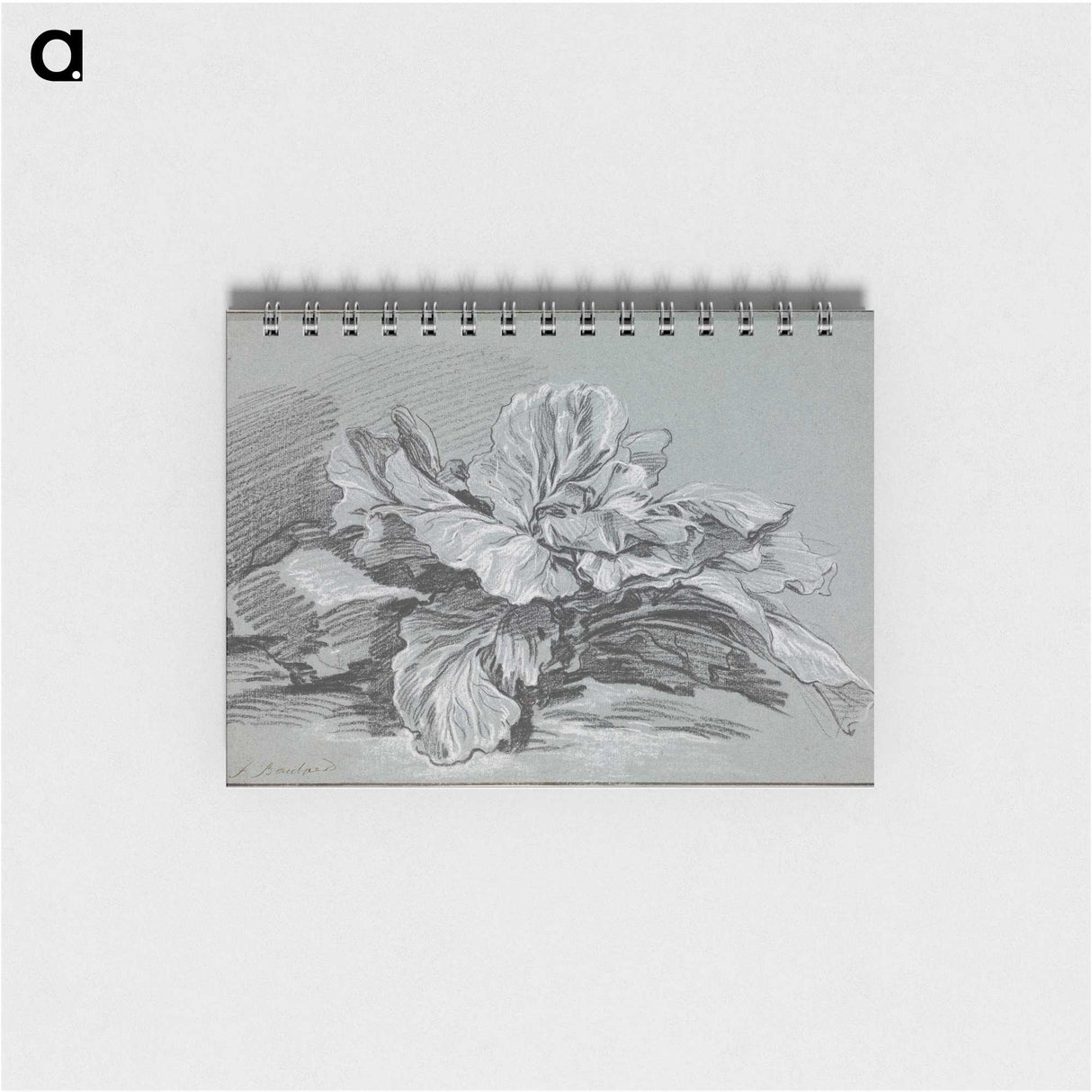 1-49_Francois-Boucher_memo