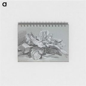 1-49_Francois-Boucher_memo