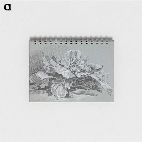1-49_Francois-Boucher_memo
