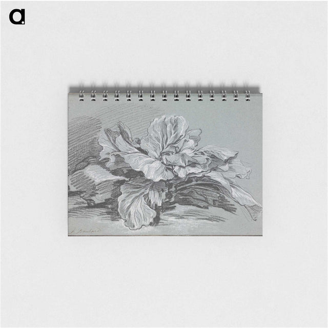 1-49_Francois-Boucher_memo