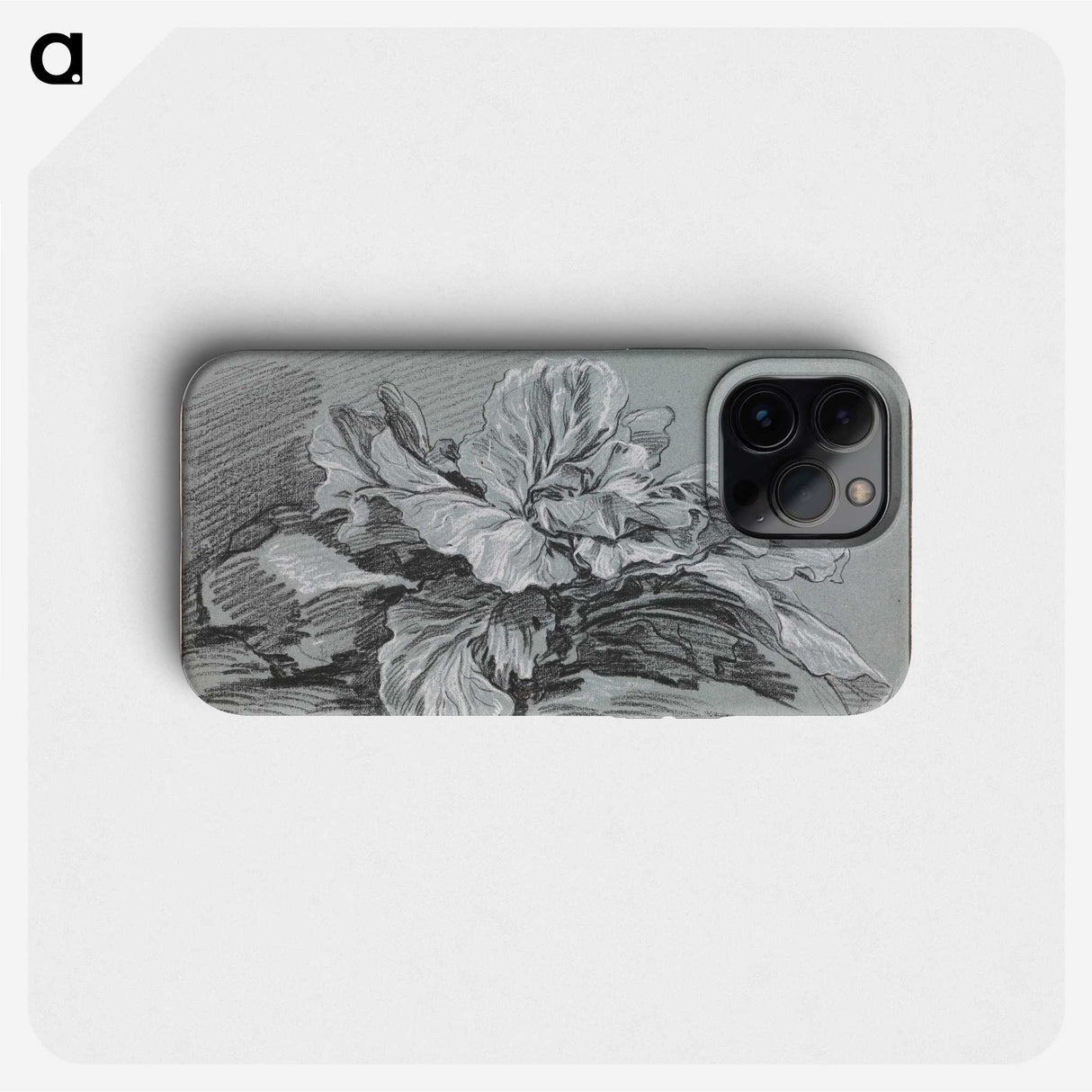 1-49_Francois-Boucher_phone