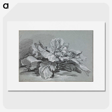 1-49_Francois-Boucher_picture