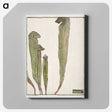 1-49_Hannah-Borger-Overbeck_canvas