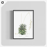 1-49_Histoire-des-Plantes-Grasses_blk-crop