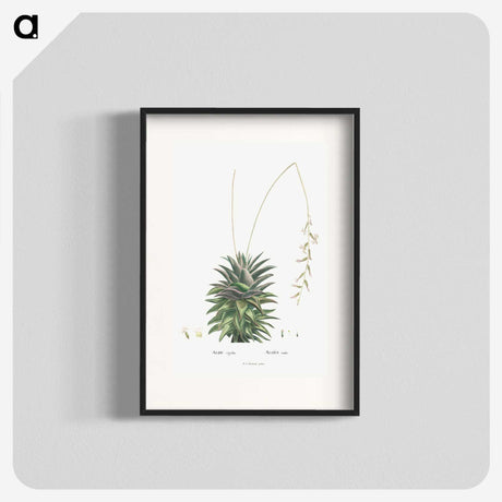 1-49_Histoire-des-Plantes-Grasses_blk