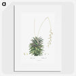1-49_Histoire-des-Plantes-Grasses_picture
