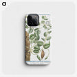 1-49_Hortus-Romanus-Botanical-Plates_phone