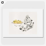 1-49_Hu-Zhengyan_picture