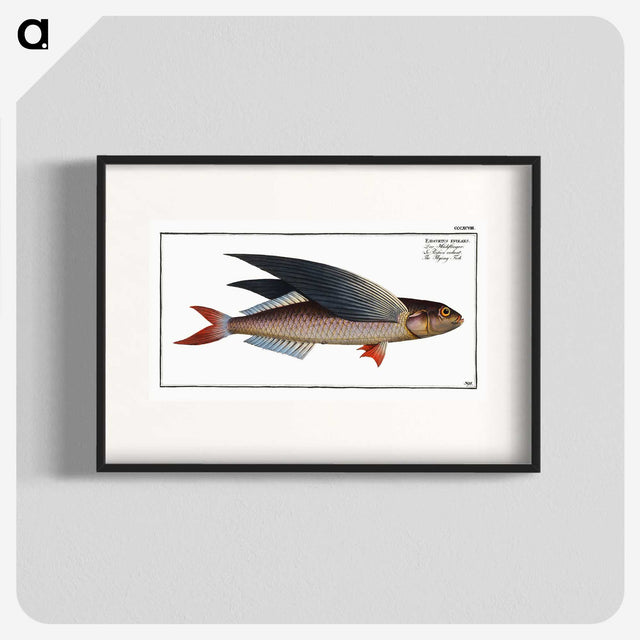 1-49_Ichtyologie-ou-Histoire-naturelle_blk